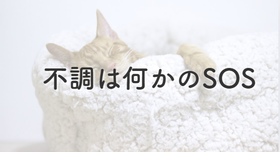 不調は何かのSOS